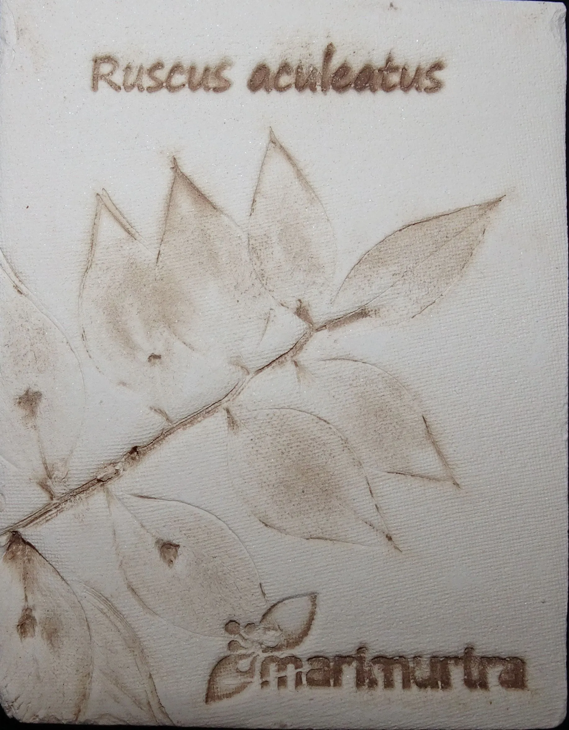 DSC00542 55889f77 1920w