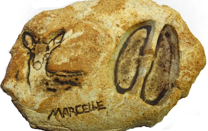 ciervoreseguido 1920w